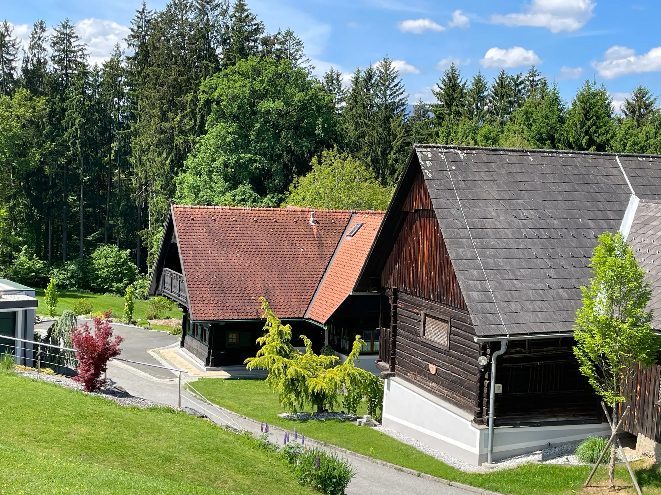 Das Ferienhaus Steirerzeit: dunkle Holzhäuser mit rotem und grauem Dach vor Mischwald, davor Wiese und Zufahrt